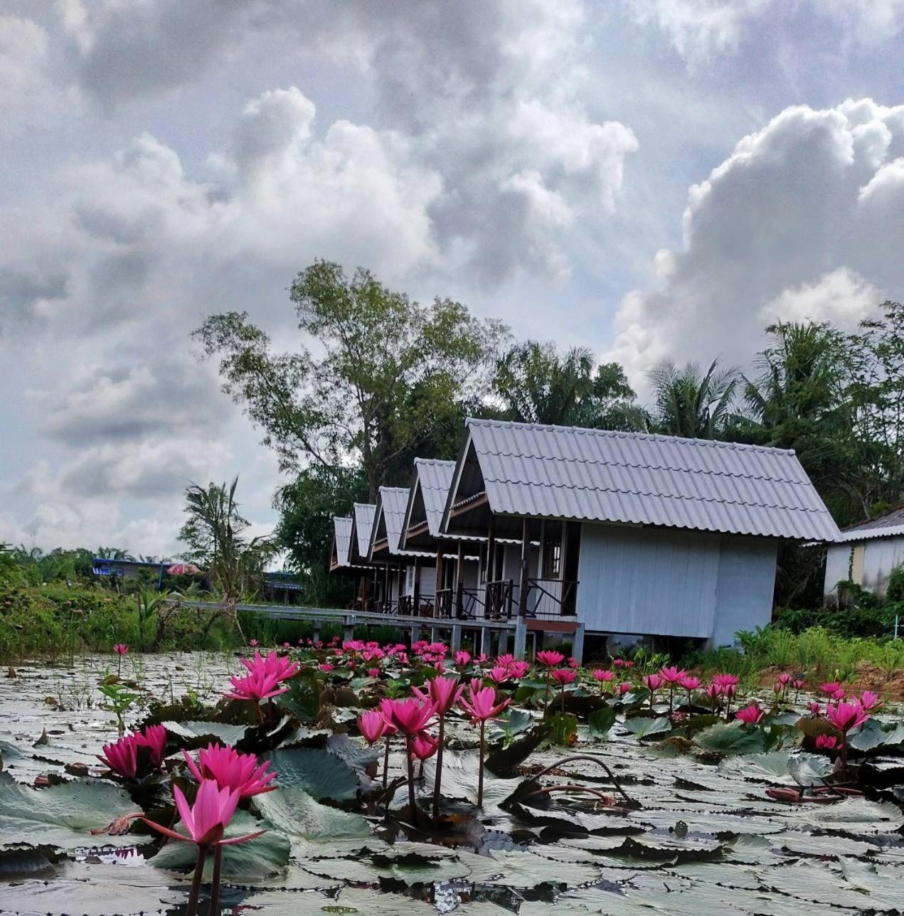 ปารมีฟาร์มสเตย์ Takuapa Exteriér fotografie