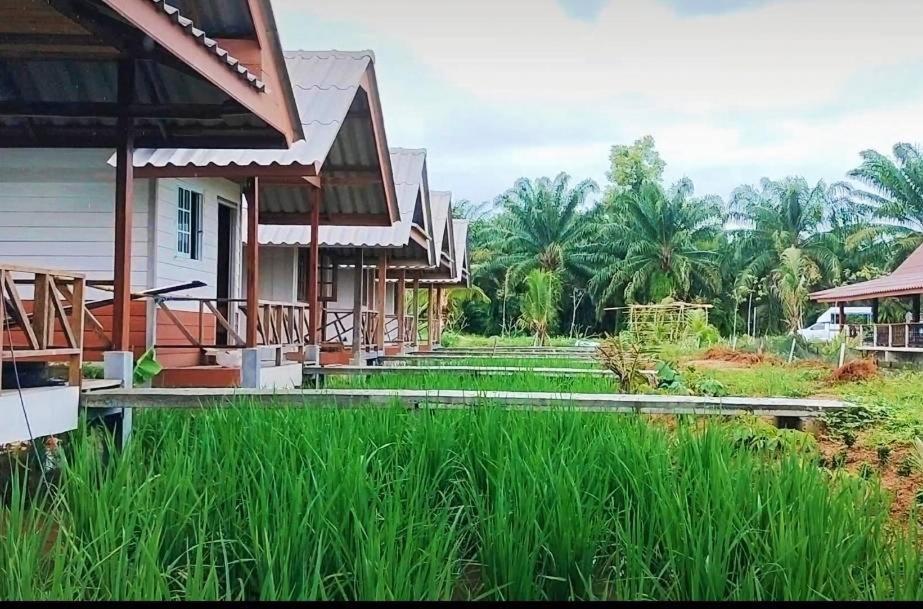 ปารมีฟาร์มสเตย์ Takuapa Exteriér fotografie